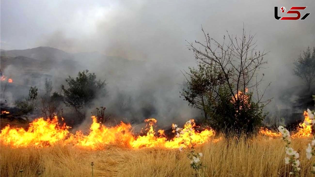 آتش سوزی مراتع استان همدان به یک سوم پارسال کاهش یافت