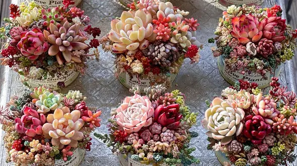 فال ابجد امروز / 10 بهمن + فیلم