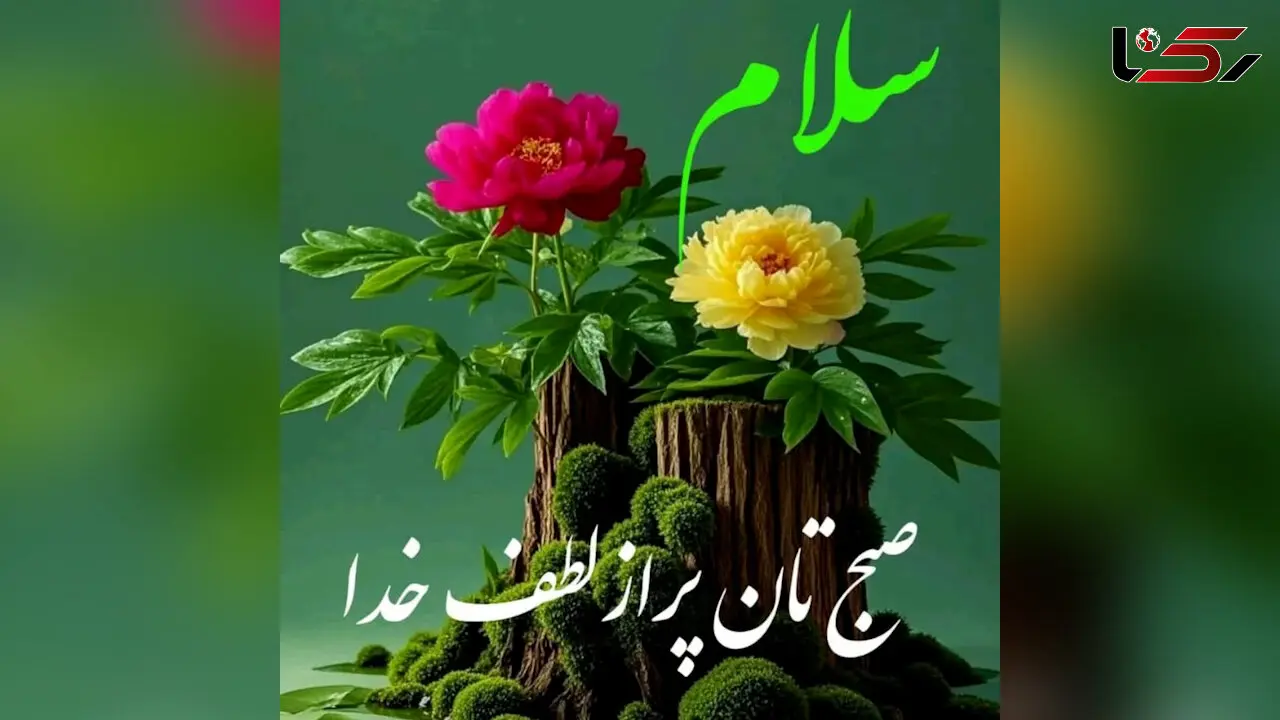 فال ابجد امروز 22 اردیبهشت + فیلم