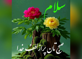 فال ابجد امروز 22 اردیبهشت + فیلم