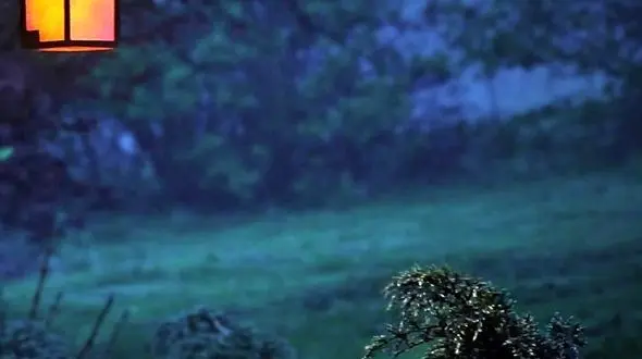 سکوت آسمان و آرامش شب /  رهایی از دغدغه‌ ها در آغوش ستارگان