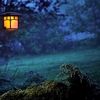 سکوت آسمان و آرامش شب /  رهایی از دغدغه‌ ها در آغوش ستارگان