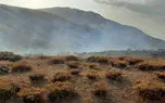 به آتش کشیدن مراتع کرمانشاه برای کشت خشخاش!
