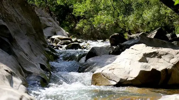سفر کوتاه اما جذاب به چال ماهی: بهترین نکات و ترفندها + عکس