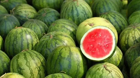 ترفندهای انتخاب هندوانه شیرین!