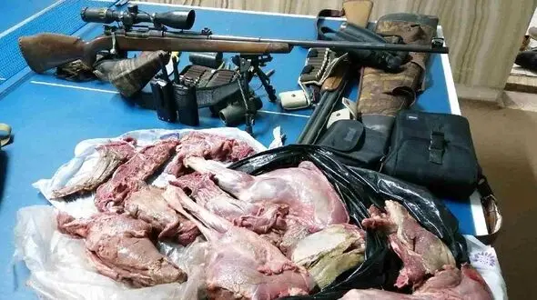 شکارچی تحت تعقیب در مشهد به دام افتاد