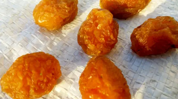 اتفاقات خونین با گروه 7 نفره آلو بخارا 