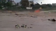خسارت سیلاب به 240 خانه روستایی در تالش