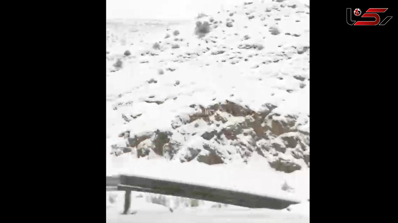 ببینید / برف و کولاک زمستانی در جاده فیروزکوه + فیلم