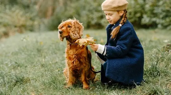 بهترین غذای سگ خارجی و ایرانی + معرفی مراکز خرید