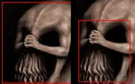 تست شخصیت شناسی : اولین بار در عکس چه چیزی دیدید؟
