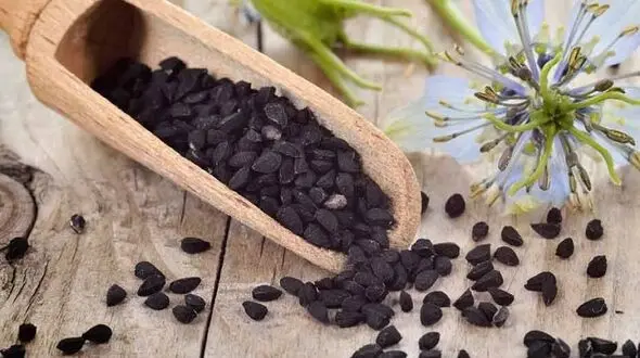 فواید  زیره سیاه در سلامتی بدن