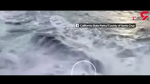 لحظه برخورد موج وحشتناک با پسر 20 ساله آمریکایی+فیلم