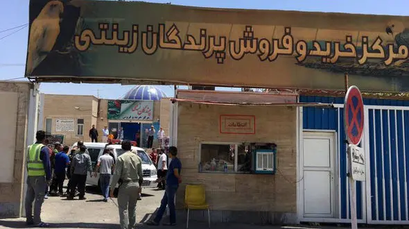 شهرداری تهران پاسخگوی وضعیت بازار پرندگان خلیج فارس باشد