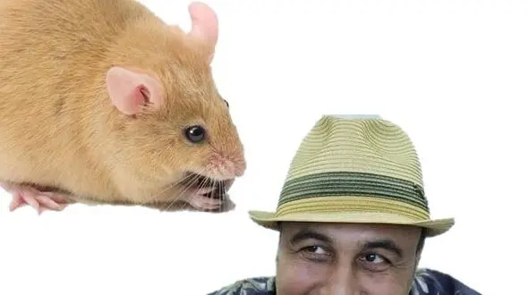 از تقلید صدای رضا عطاران تا ترسیدن غیده فخری مجری شبکه خبر الجزیره