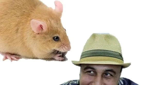 از تقلید صدای رضا عطاران تا ترسیدن غیده فخری مجری شبکه خبر الجزیره