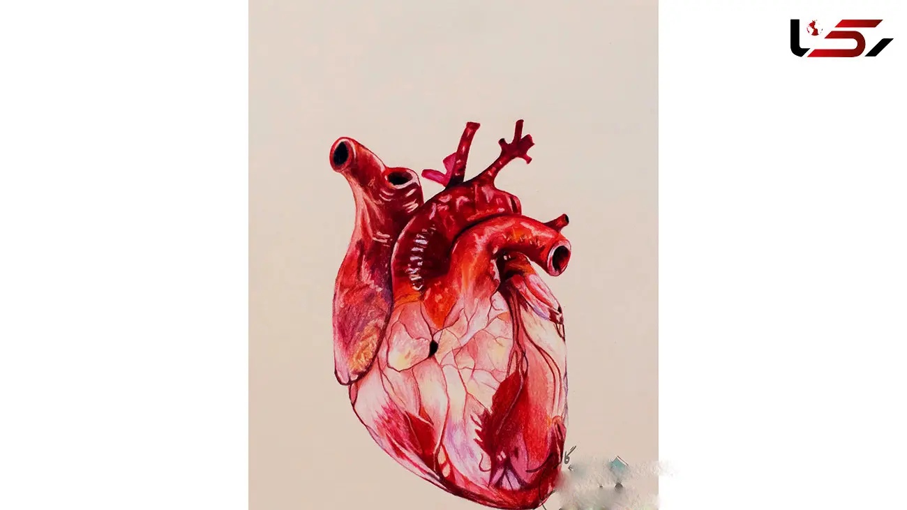 10 عاملی که موجب از کار افتادگی قلب شما می شود