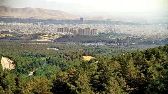 ناپدید شدن دختر 25 ساله در جنگل عباس آباد / 5 روز گذشت