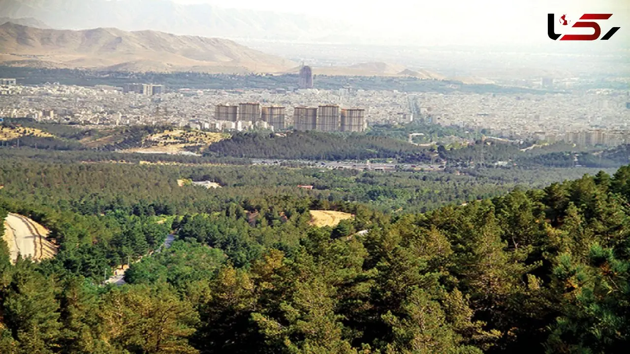 جنگل کاری شمال تهران با گونه های بومی