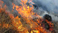
آتش سوزی در 4 هکتار از مراتع گلپایگان