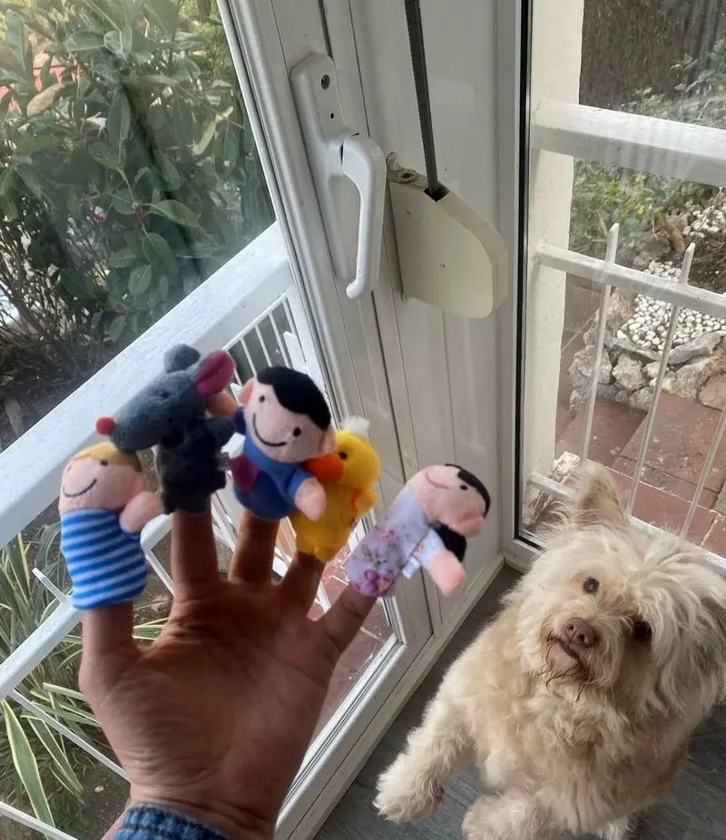 چیدمان منزل پیمان قاسم خانی و میترا ابراهیمی