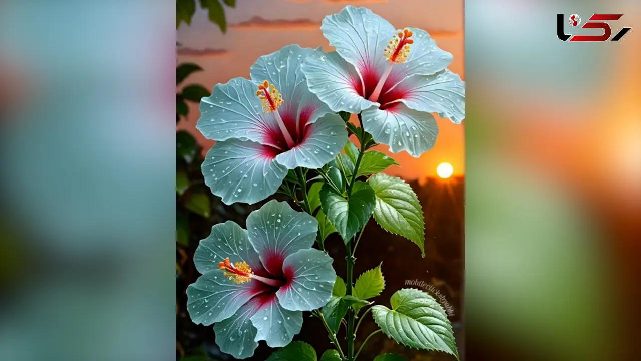 فال و طالع بینی روزانه هفتم مرداد 