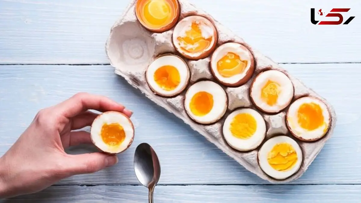 فواید و مضرات تخم مرغ را بشناسید