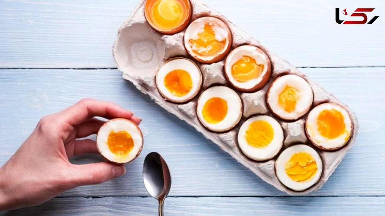 فواید و مضرات تخم مرغ را بشناسید