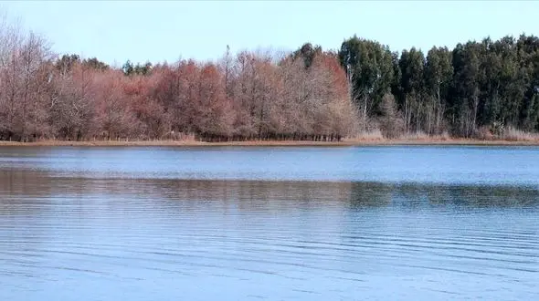 تالاب لپو در مازندران جان گرفت