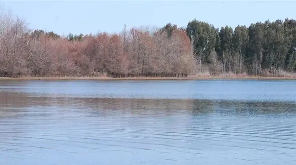 تالاب لپو در مازندران جان گرفت