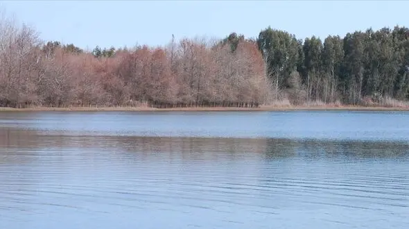 تالاب لپو در مازندران جان گرفت