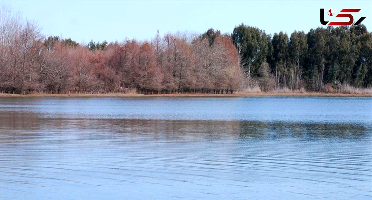 تالاب لپو در مازندران جان گرفت