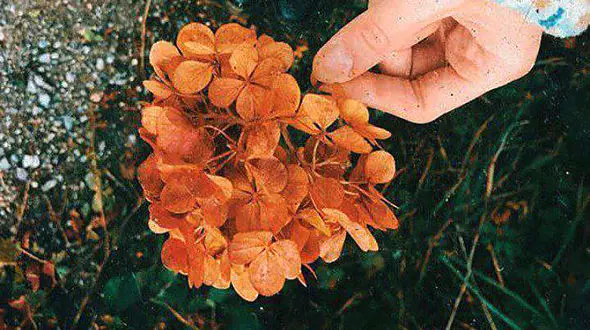 فال ابجد واقعی 9 آبان + فیلم