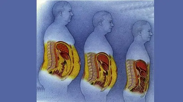 مخرب ترین چربی برای بدن چیست؟