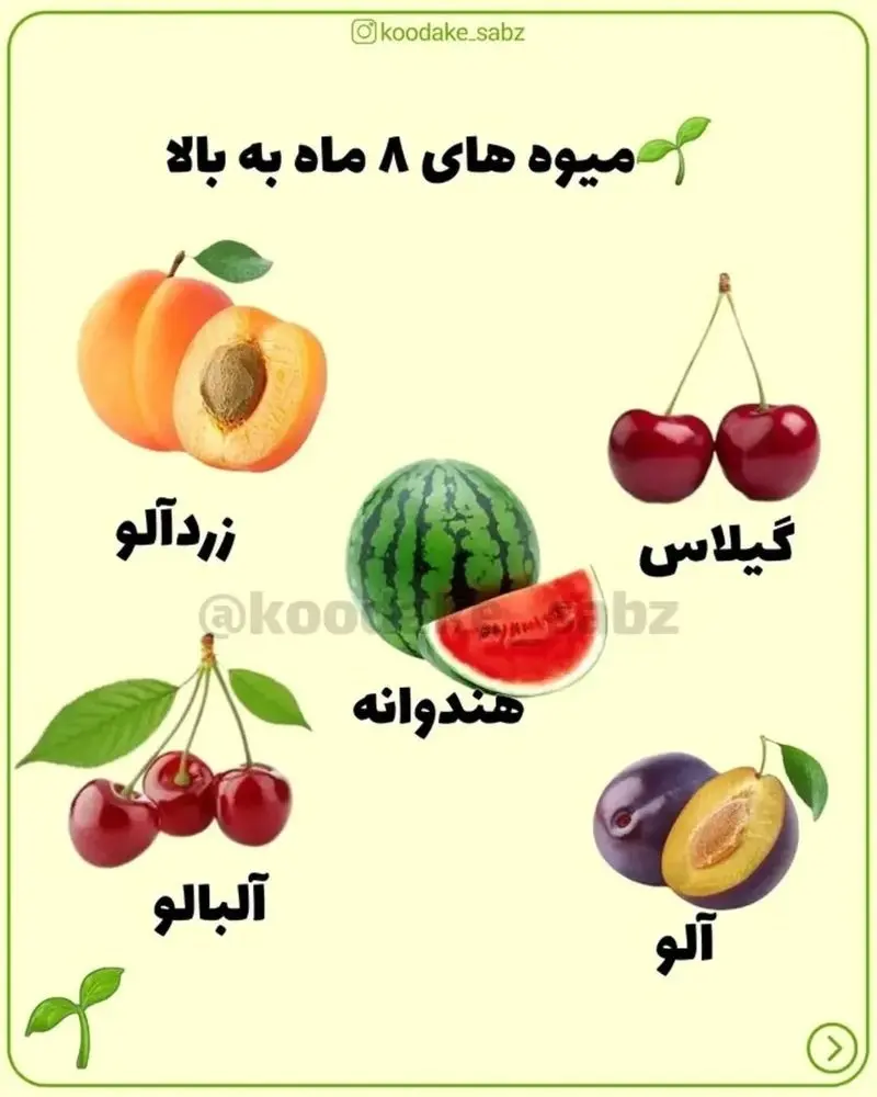 میوه های 8 ماه به بالا
