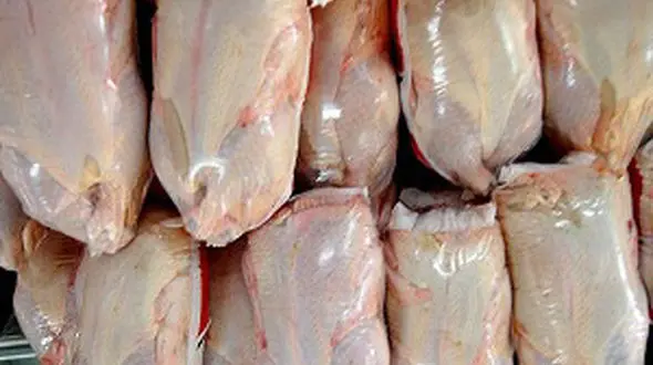 روند کاهشی قیمت مرغ ادامه دار شد