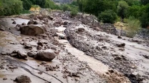 فیلم وحشتناک از رستوران معروف جاده چالوس که سیل آن را ویران کرد / خودرو روی درخت بود!