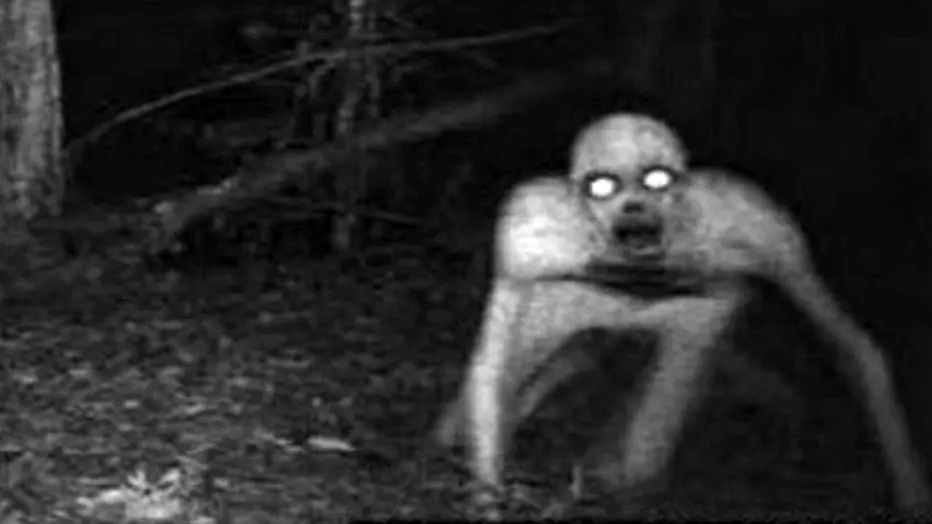 جن واقعیت دارد؟ / نیمه شب روی خودتان سنگینی حس کردید چه کنید