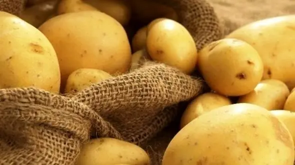 کشف سیب زمینی های تریاکی در میناب + جزییات