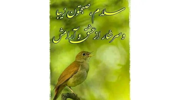 فال و طالع بینی امروز 29 خرداد + فیلم