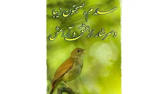 فال و طالع بینی امروز 29 خرداد + فیلم
