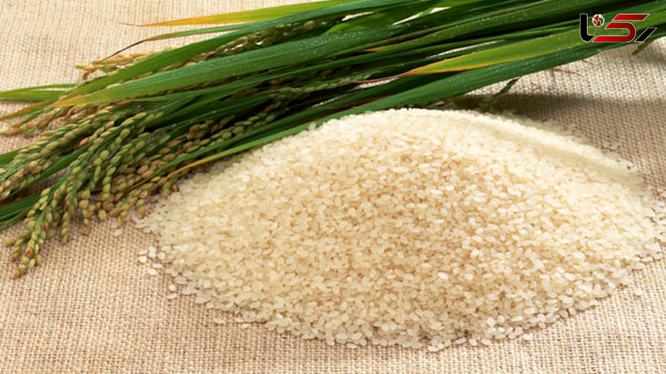افزایش قیمت برنج در بازارهای بین المللی