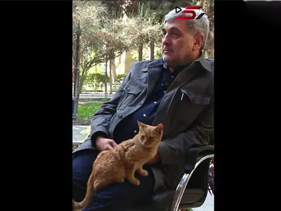 فیلم / گربه بازیگوش وسط مصاحبه با شهردار سابق تهران / گربهٔ باغ نگارستان ناگهان پرید بغل حناچی و مجری برنامه رک 