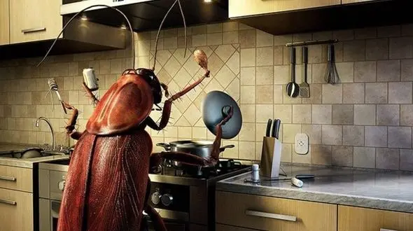 ضربه فنی سوسک کابینت با هفت روش طبیعی