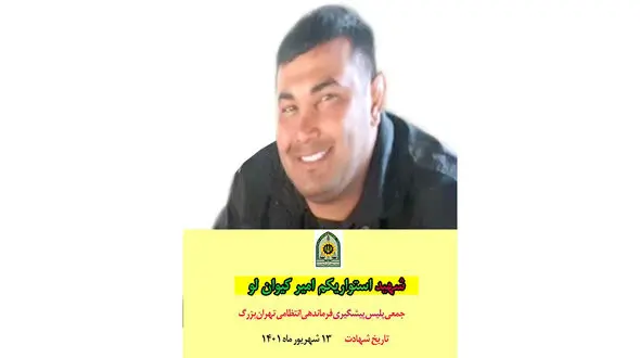 جزییات قتل شهید امیرکیوان لو به دست سارق چاقوکش / قاتل دست و پای زن تهرانی را بسته بود! + عکس