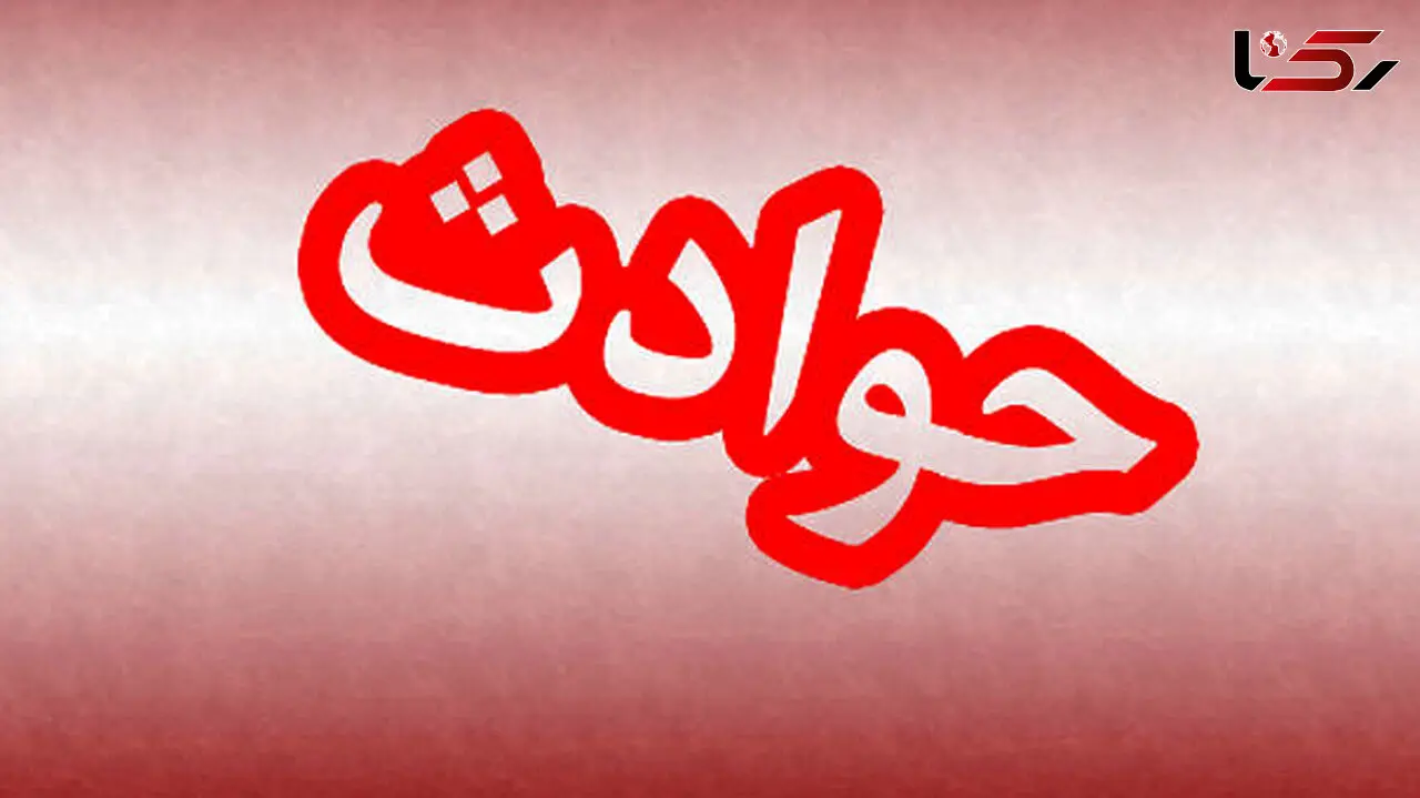 فربد جمجمه پدرش را با چکش شکافت / قتل در تهران