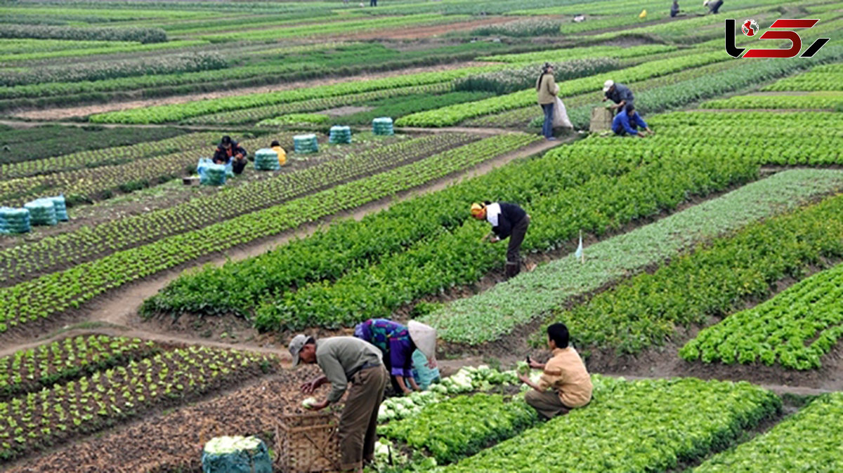 ۷ پیشنهاد اساسی برای بهبود طرح اصلاح قانون استفاده حداکثر از توان داخلی