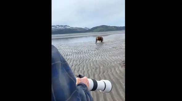 فیلم وحشتناک حمله یک خرس به عکاس !