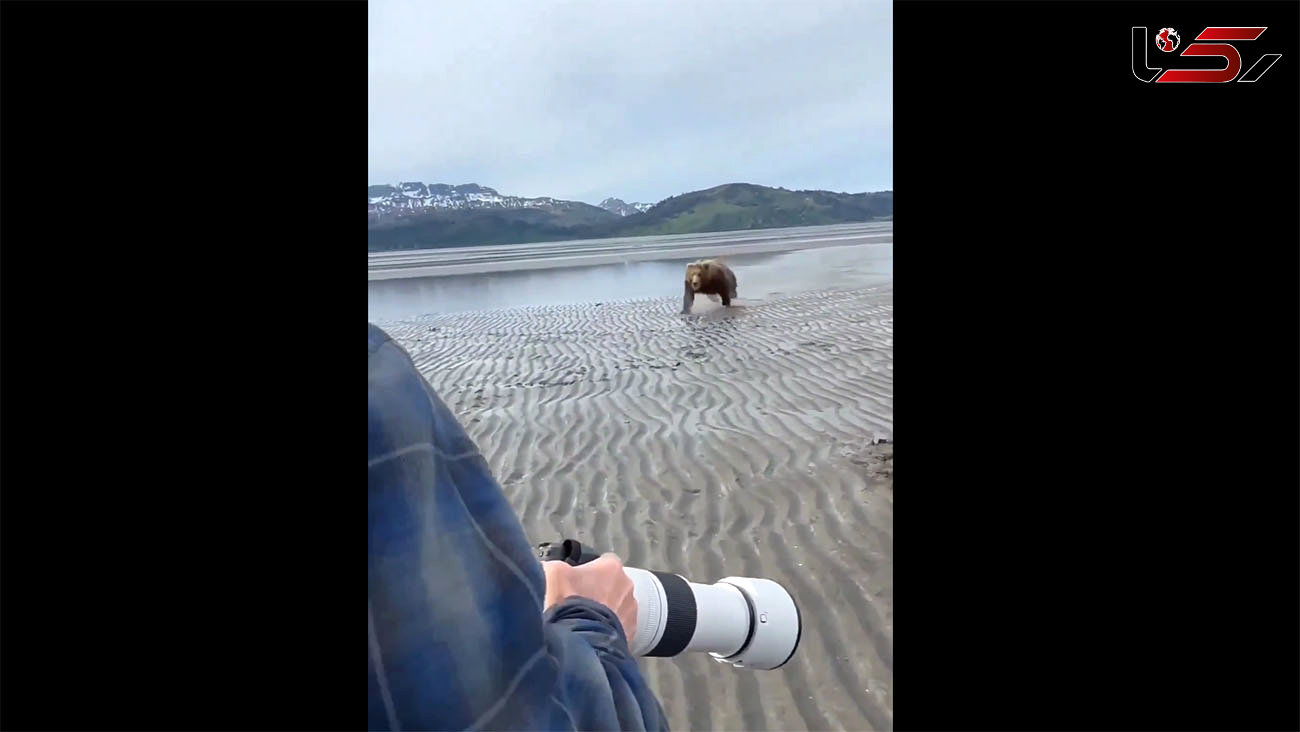لحظه دیدنی حمله یک خرس به عکاس + فیلم عجیب!