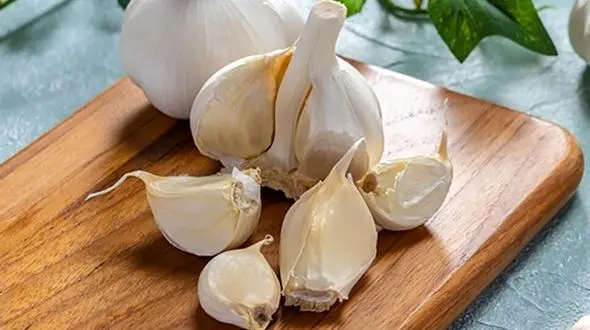 تقویت کننده های ریه کدامند؟